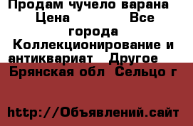 Продам чучело варана. › Цена ­ 15 000 - Все города Коллекционирование и антиквариат » Другое   . Брянская обл.,Сельцо г.